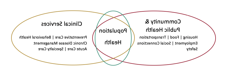 维恩图显示了社区和公共卫生以及临床服务的交汇处的人口健康状况 